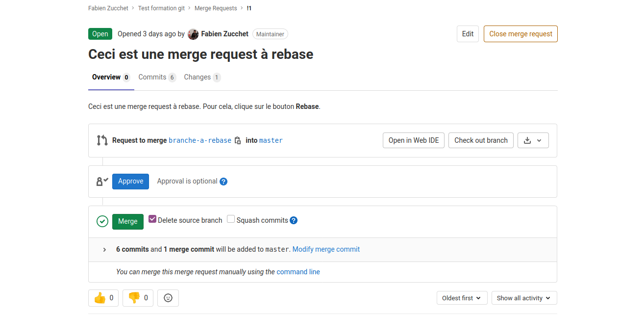 photos/merge_request_overview.png